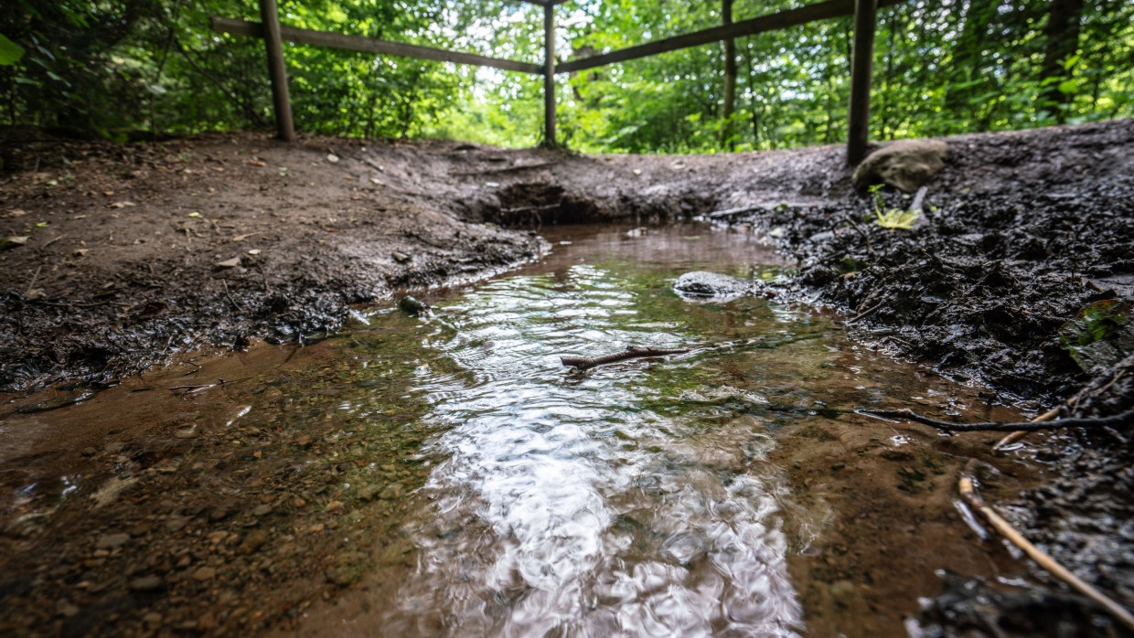 Feuchtgebiet: Die Nidda quillt aus dem Moorboden am Hohen Taufstein im Vogelsberg.