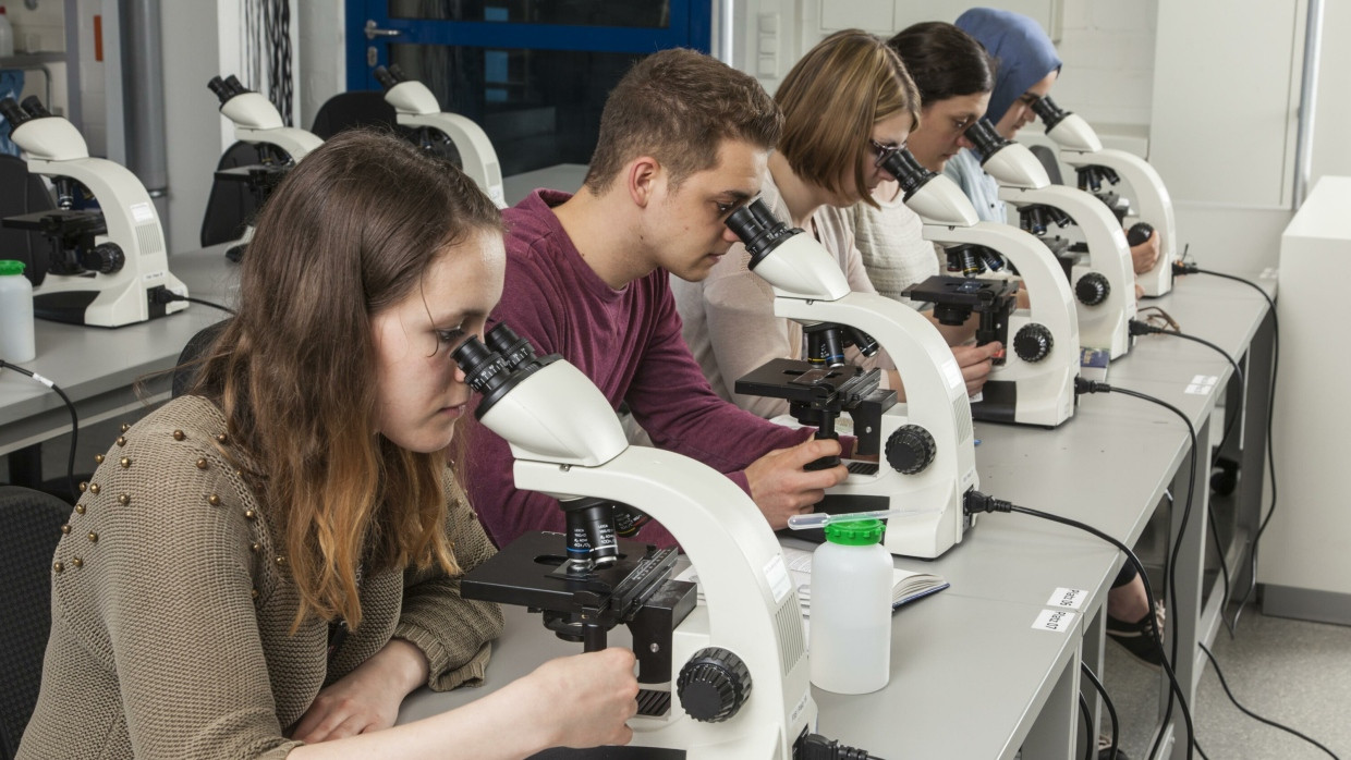 Studenten beim Mikroskopieren