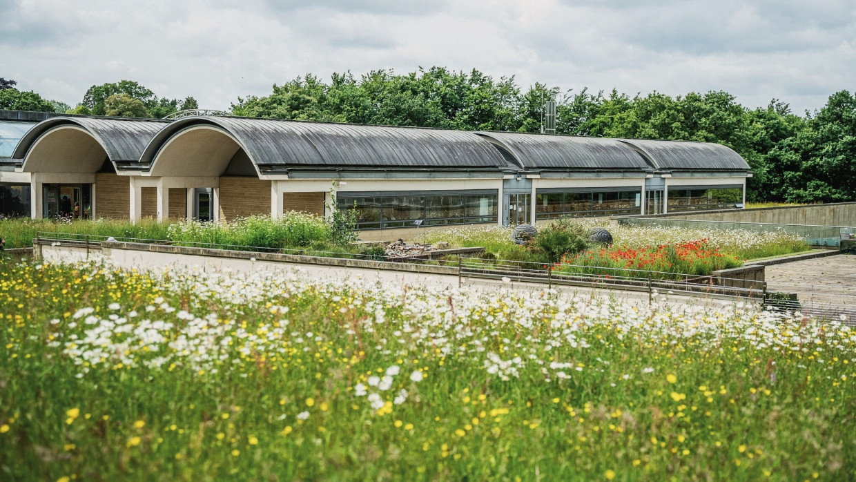 Die Millennium Seed Bank (MSB) ist die größte Samenbank für wilde Pflanzen der Welt.