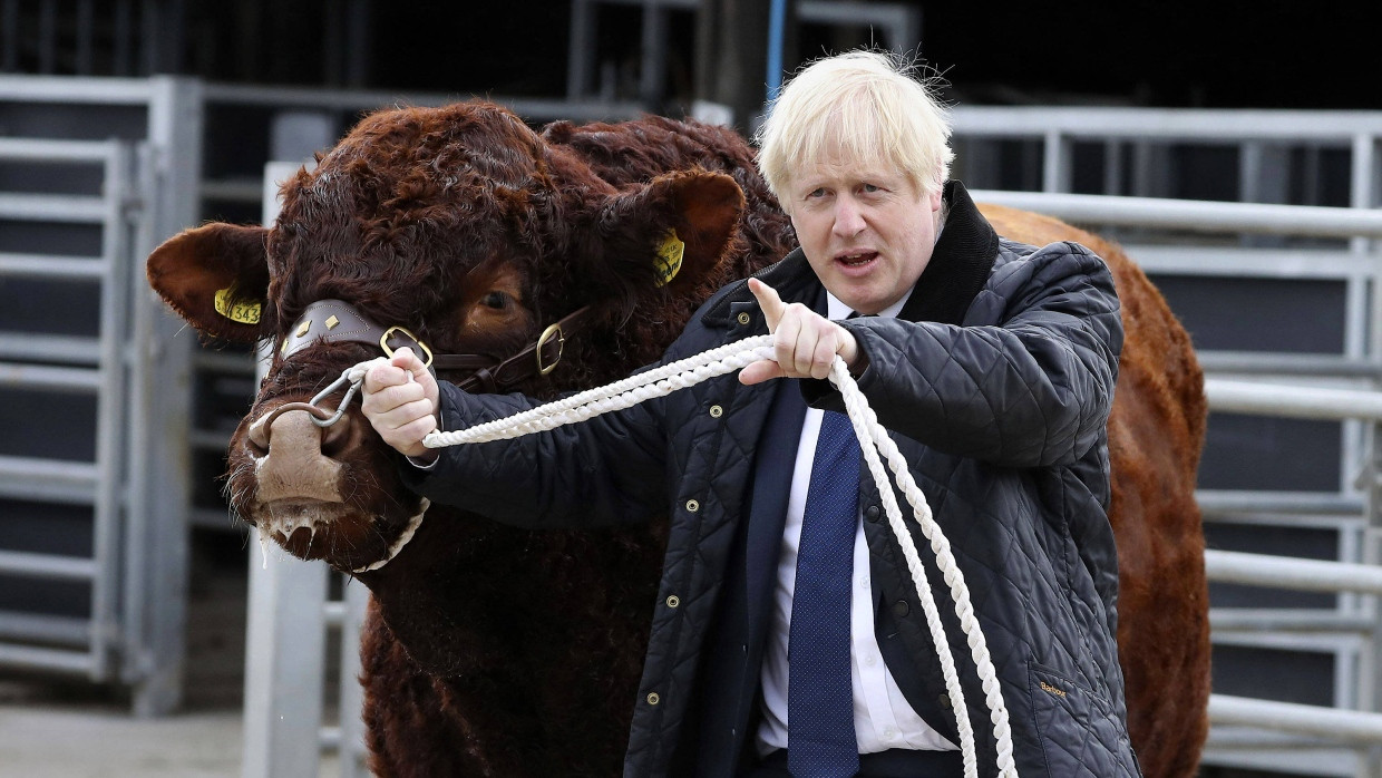 Kuhhandel? Der britische Premierminister Boris Johnson, hier auf einer Rinderfarm in Schottland, will trotz des gerade verabschiedeten Gesetzes eine Brexit-Verschiebung verhindern.