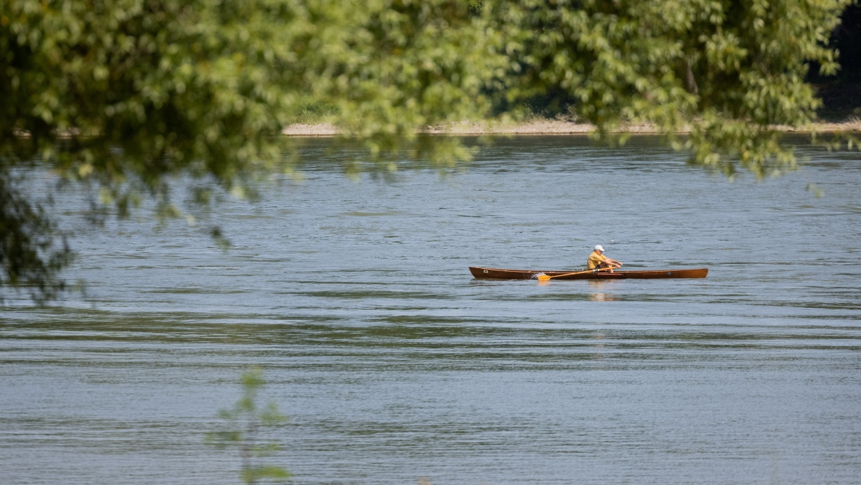 Ruderer auf dem Rhein: Sport- und Naturerlebnis