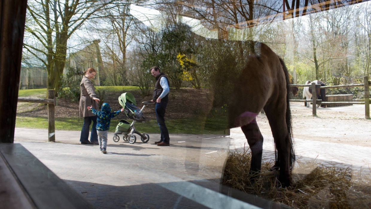 Der Zoo ist ein Deal: Eltern erkaufen sich mit ihm Ruhe und ein bisschen Freiheit.