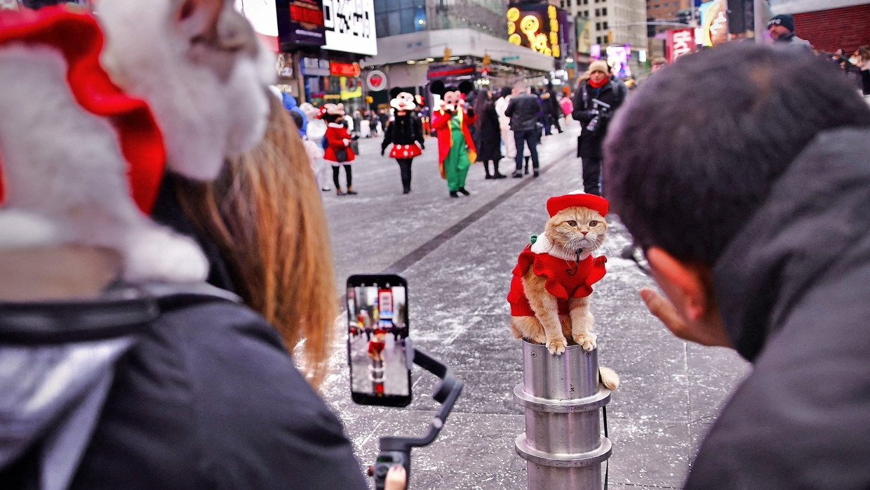 Katzenkult: Influencer drehen für Tiktok-Video am Times Square in New York.