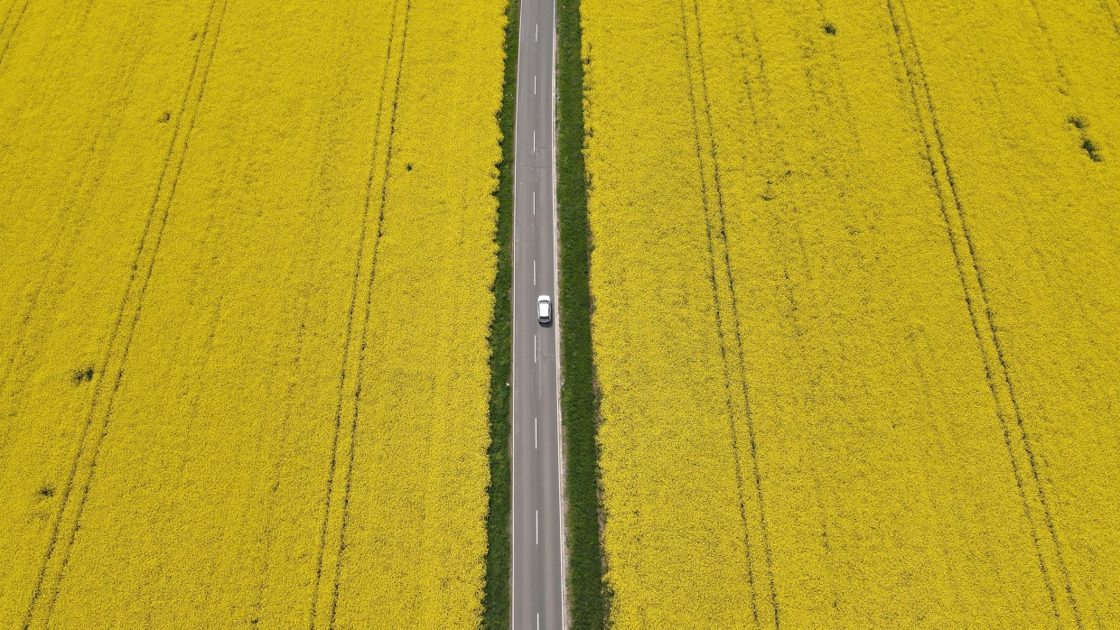 Landstraße in Thüringen im Sommer: Ideale Bedingungen für das Elektroauto