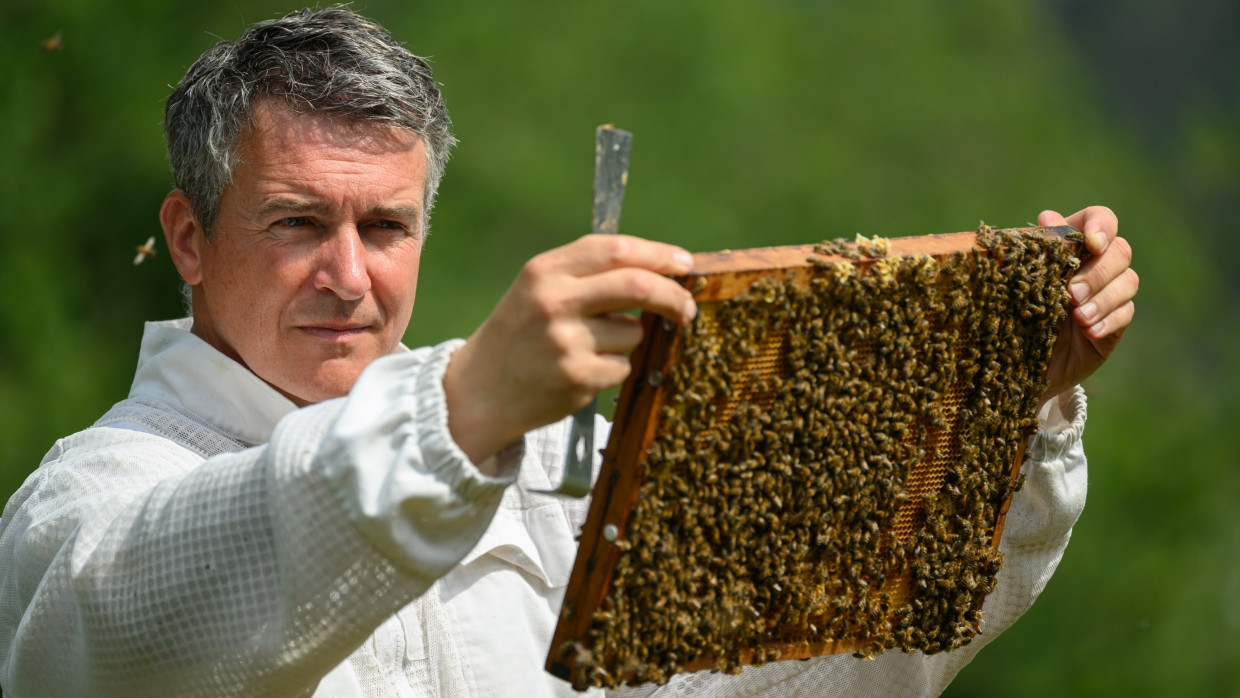 Sachsen, Diera-Zehren: Imker Rico Heinzig kontrolliert seine Bienenkästen.