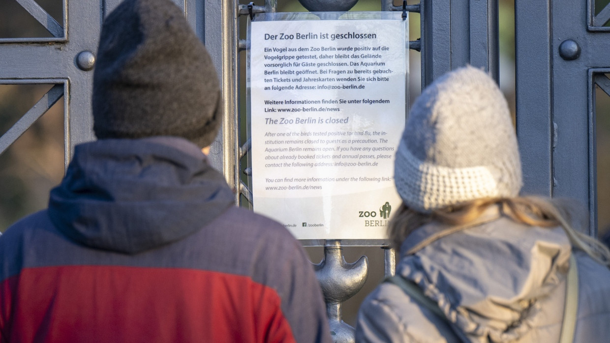 Besucher stehen vor dem Aushang am geschlossenen Tor am Eingang zum Berliner Zoo.