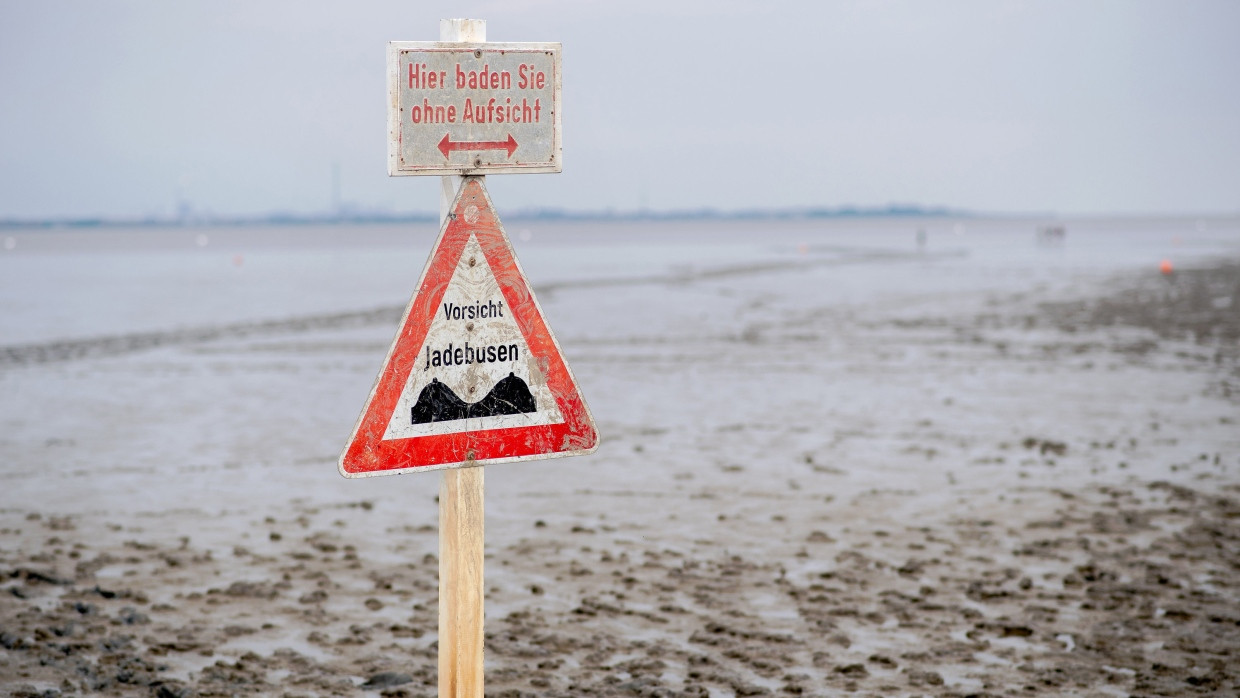 Im Wattenmeer wird es wärmer.