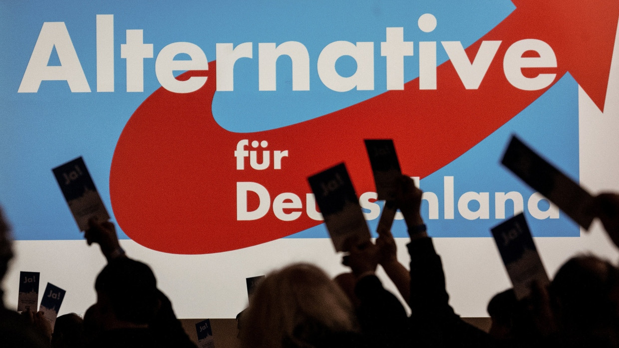 Stimmabgabe: Delegierte halten bei einem Landesparteitag der AfD ihre Stimmzettel in die Luft