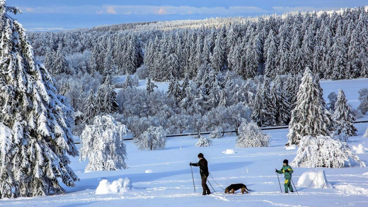 Eins mit der Natur: Auf dem Hoherodskopf im Vogelsberg lässt es sich wunderbar durch die Winterlandschaft gleiten.