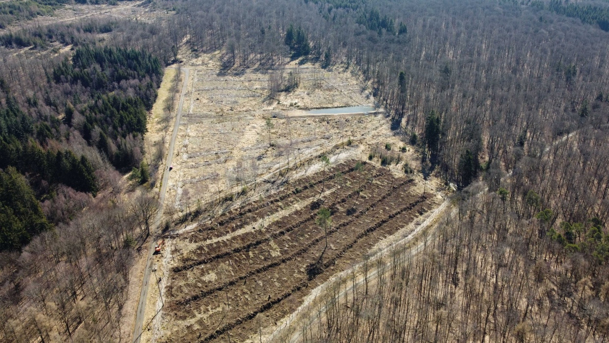 Energieträchtig: Auf dem Winterstein-Taunuskamm sollen Windräder gebaut werden