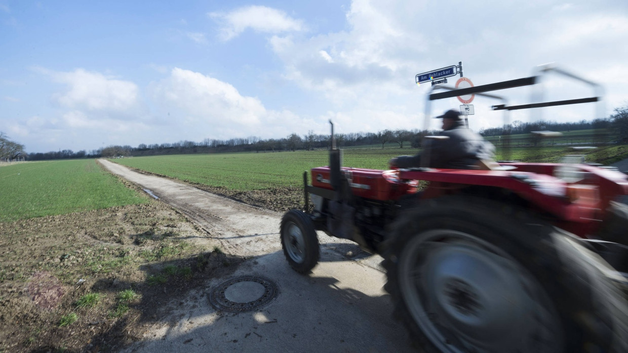 Fruchtbarer Boden: Die Bauern müssten ihr Land aufgeben, wenn Am Hohlacker in Berkersheim-Ost gebaut wird.