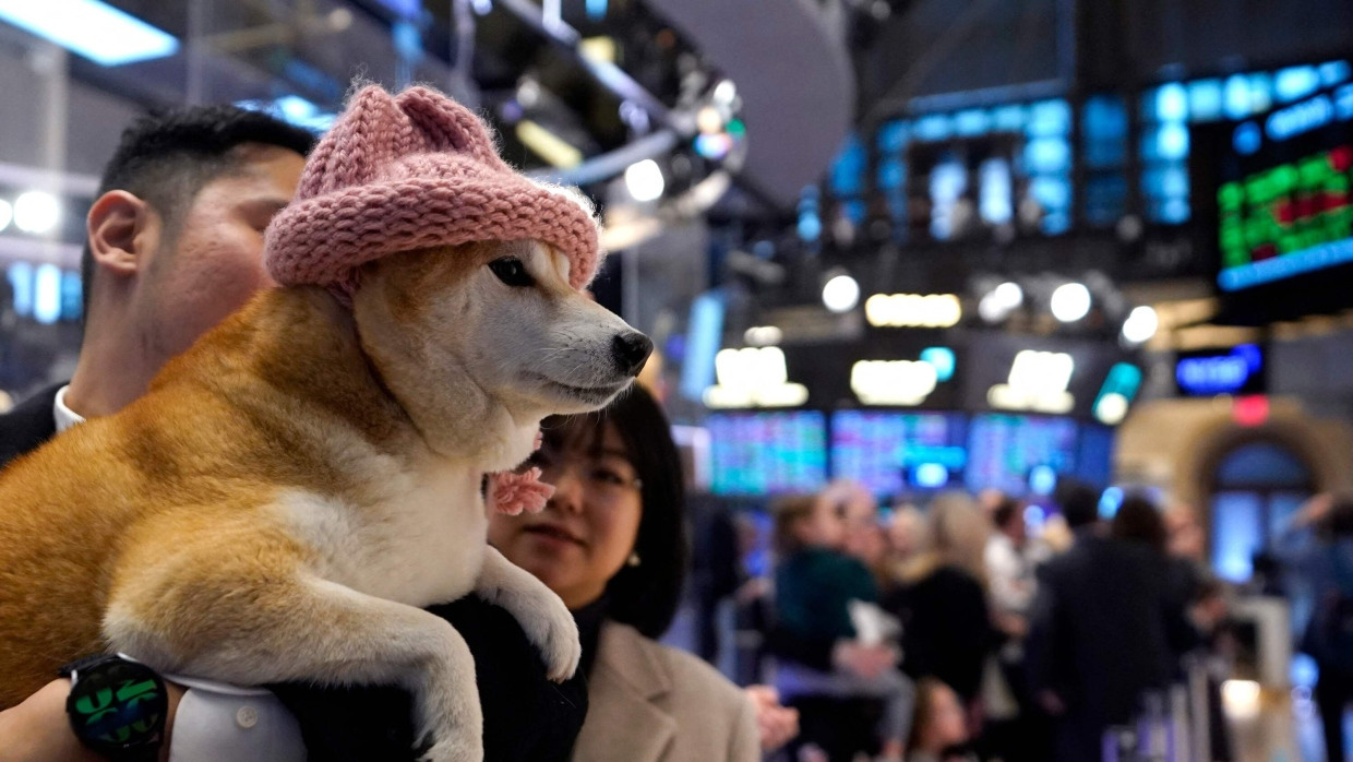 Selbst Archi, der „Dog with hat“, hat eine eigene Digitalwährung – die rund 300 Millionen Dollar an Marktkapitalisierung hat.