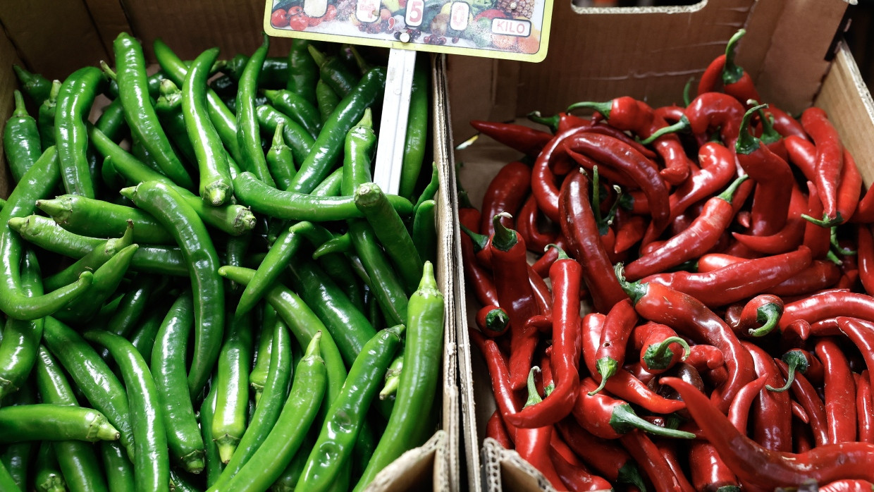 Chilis. Den Liebhabern scharfen Essens läuft bereits beim Anblick der Schoten das Wasser im Mund zusammen.