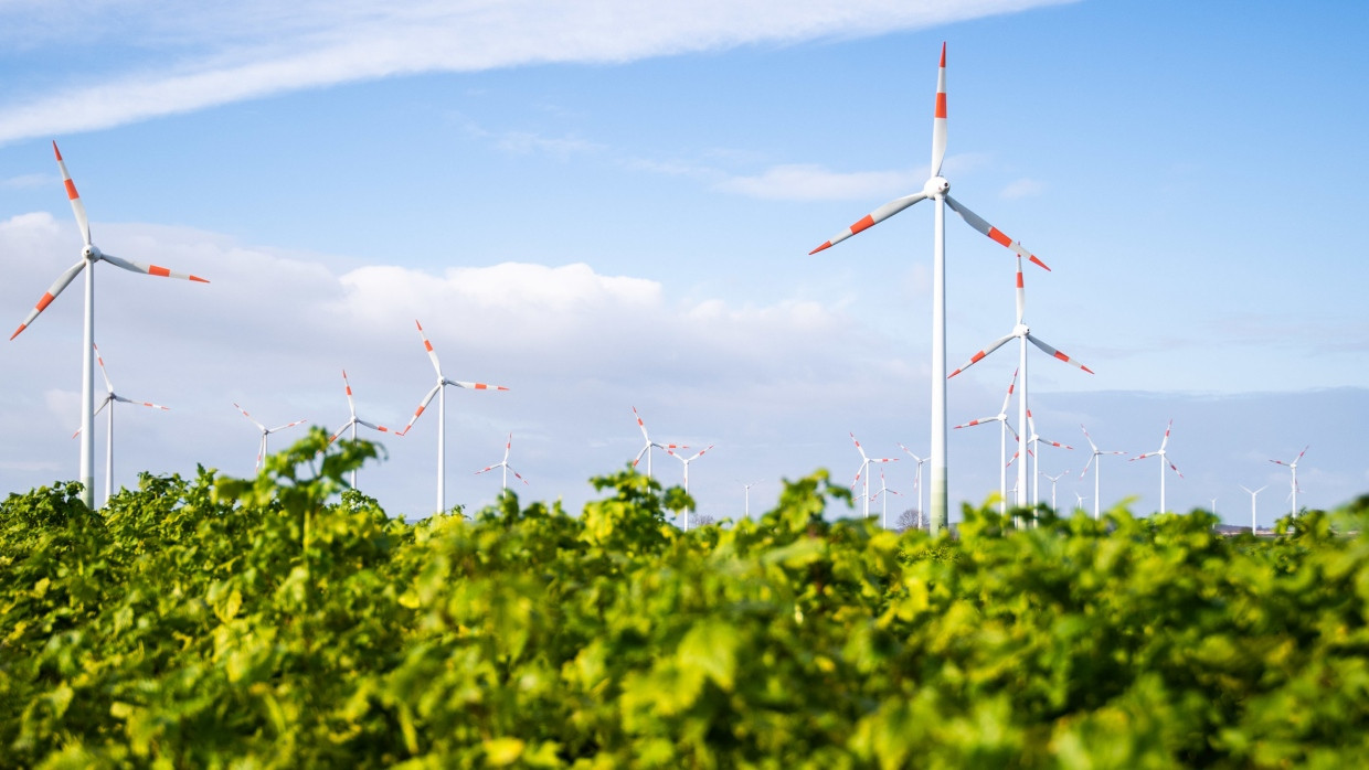 Windräder auf dem Feld: Welche Tiere sollen bei Ausbau geschützt werden?