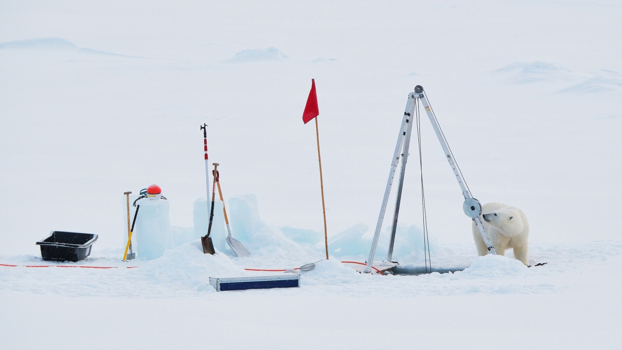 Ein Eisbär erkundet die Eisscholle, auf der die Forscher noch kurz zuvor Messungen vorgenommen und Proben gesammelt haben.