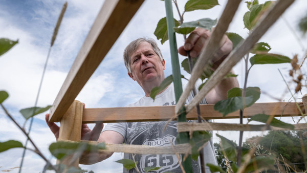 40 verschiedene Apfelsorten wachsen auf Jürgen Pfeiffers Streuobstwiese bei Glashütten.