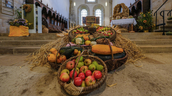 Vor dem Altar im Kloster Loccum in Niedersachsen ist alles für den Erntedank-Gottesdienst am 1. Oktober 2023 vorbereitet.