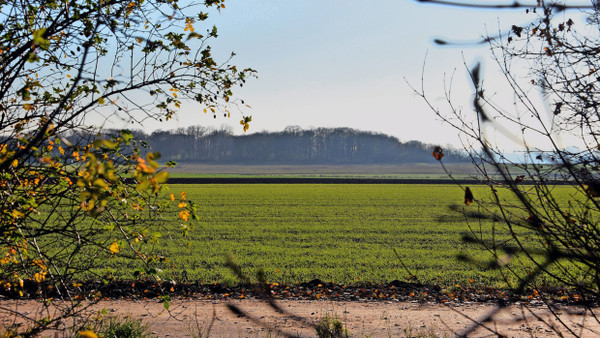 450 Hektar großes Entwicklungsgebiet: Im geplanten Stadtteil Ostfeld sollen irgendwann mal 10.000 Menschen wohnen.