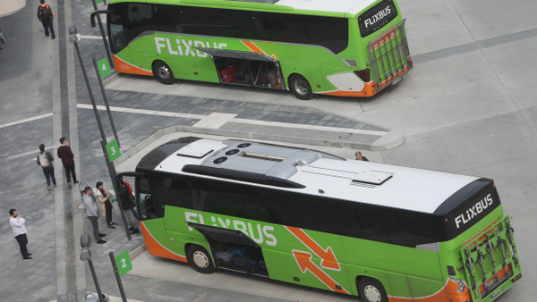 Flixbusse am Frankfurter Hauptbahnhof