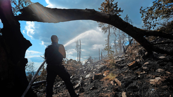 Verbrannter Wald: Nach dem Feuer am Altkönig im Taunus im Juni löschen Feuerwehrleute letzte Glutnester.