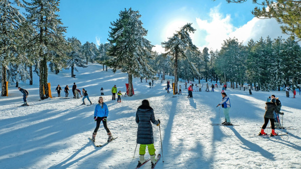 Skifahren unter Aleppokiefern: am Anfängerhang des Troodos-Skigebietes.