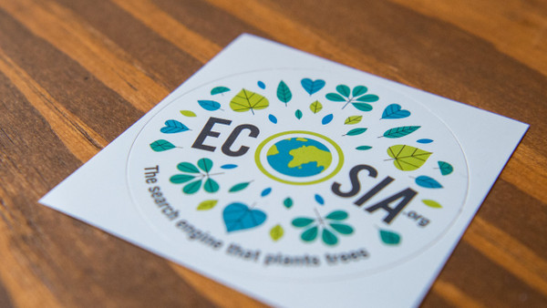 Ecosia, die Suchmaschine, die mit ihren Gewinnen ökologische Ziele verfolgt