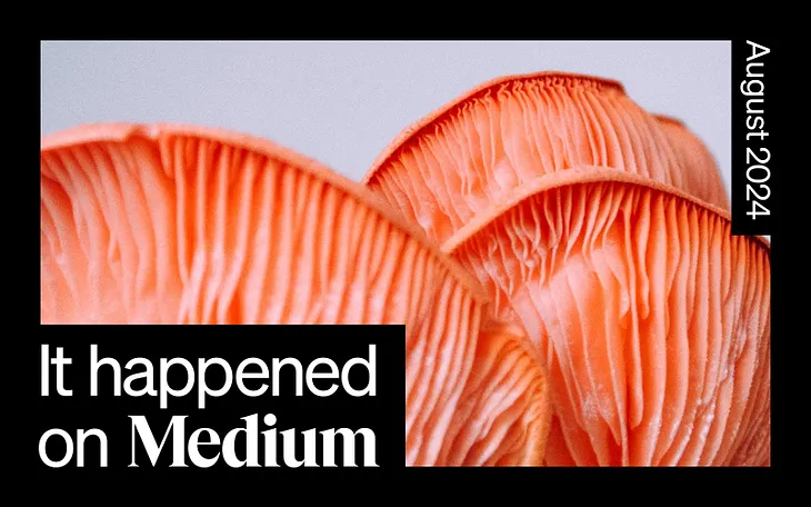 It Happened on Medium: August 2024 roundup