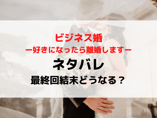 ビジネス婚最終回結末ネタバレ！最後は離婚する？