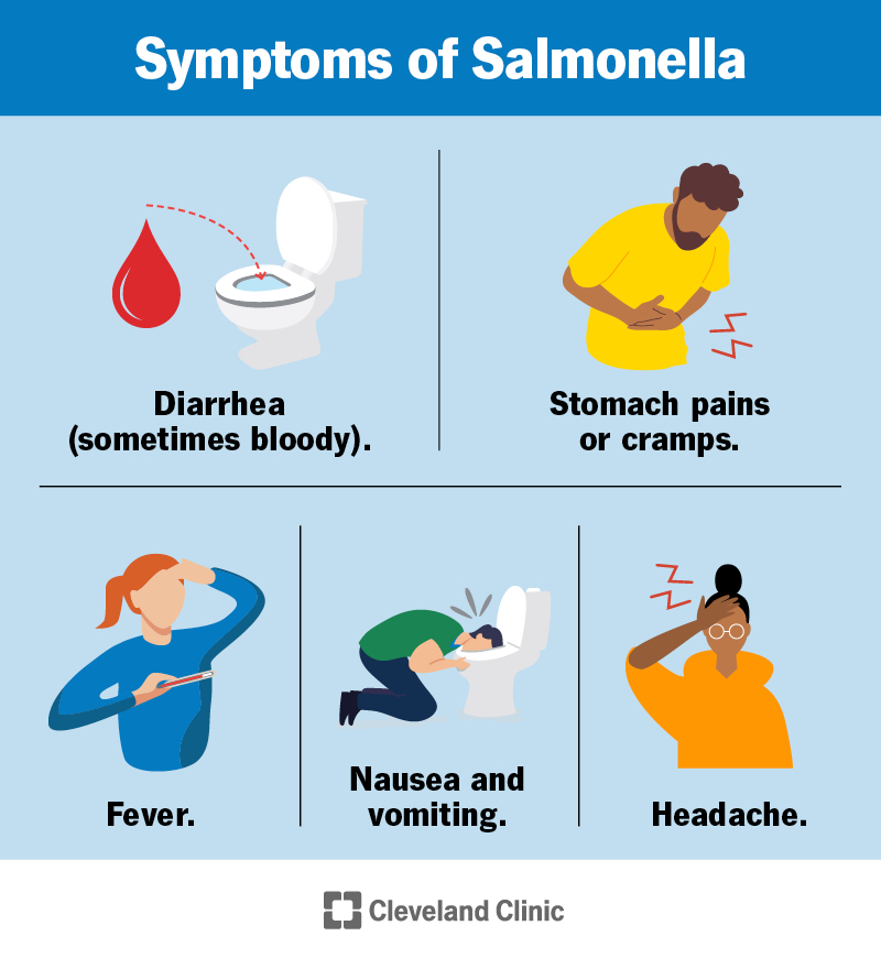 Symptoms of salmonella include diarrhea, stomach pains or cramps, fever, nausea, vomiting and headache.