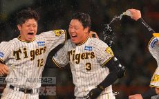 2023年プロ野球　球団別「劇的すぎるサヨナラゲーム」（セ・リーグ編）