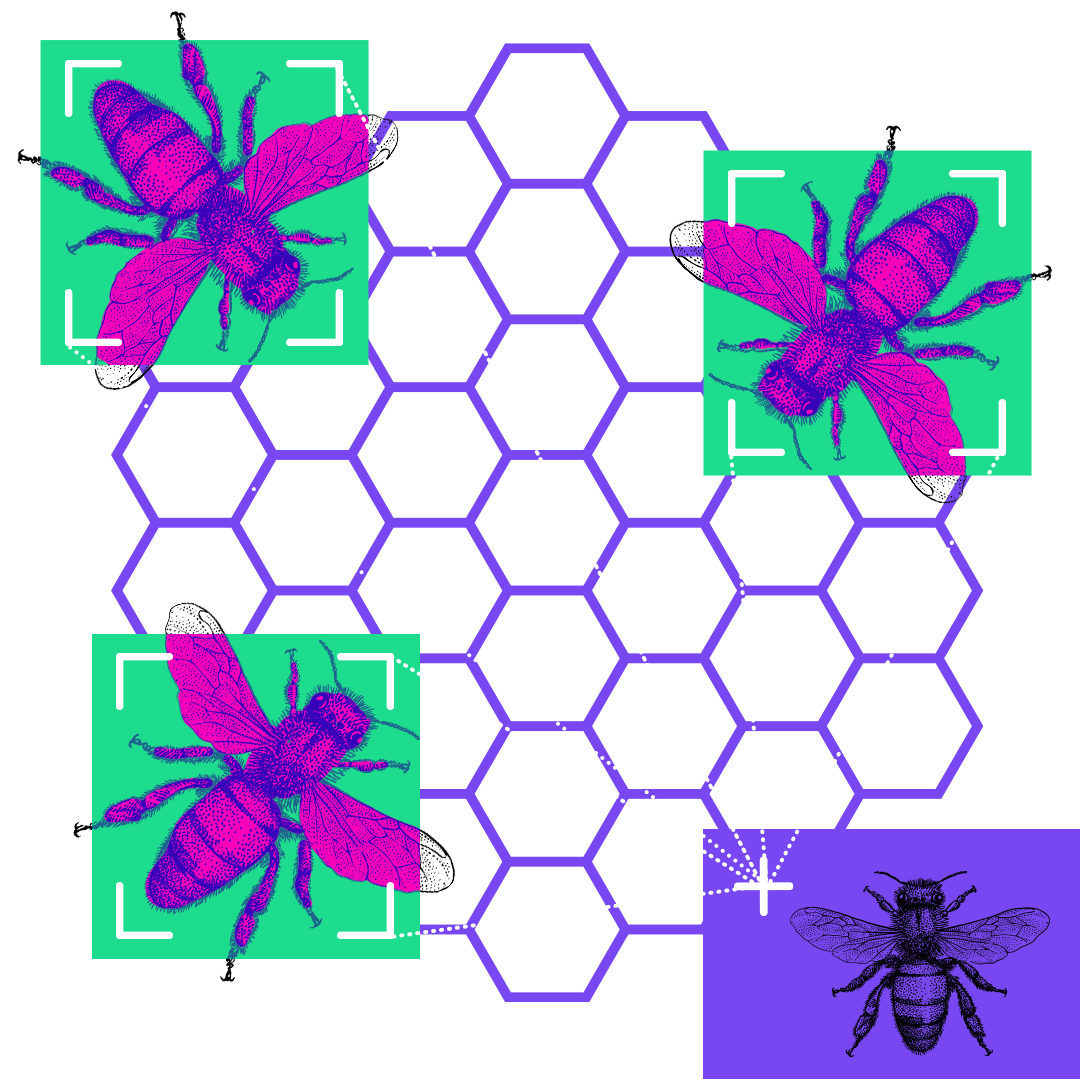 Illustration of a honeycomb with bees highlighted.
