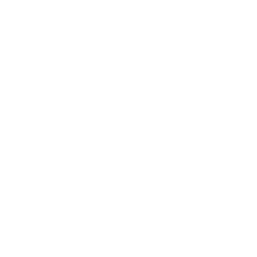 Instagram Icon Button