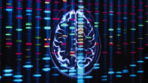 A new study looks at the roles that African and European genetic ancestries can play in Black Americans' risk for some brain disorders.