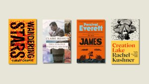 Just a few of the titles longlisted for the Booker Prize this year.