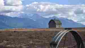 A barn near Pablo, Montana with the Mission Mountains in the distance. Western Montana is experiencing more frequent heat waves, and officials are concerned about health impacts on isolated rural residents.