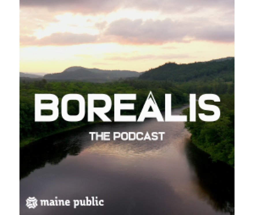 Borealis podcast