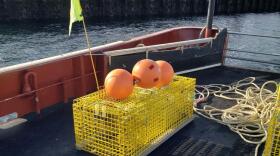 A ropeless lobster trap.