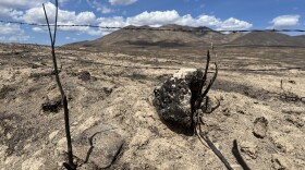 Range fires blackened hundreds of thousands of acres in eastern Oregon in a matter of hours in July. 