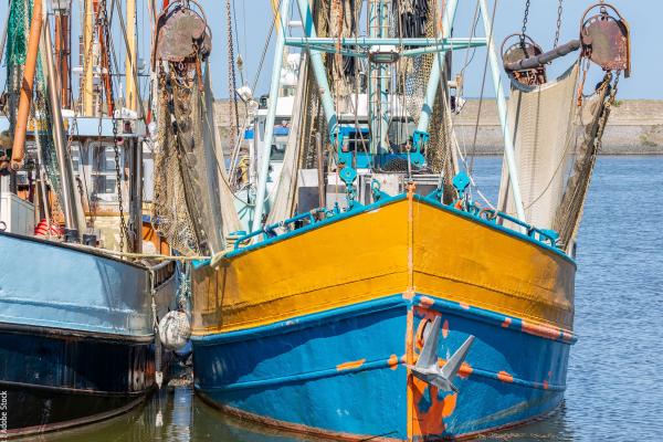 Prawn fishing boat in Dutch harbor Lauwersoog © Kruwt  / Adobe Stock