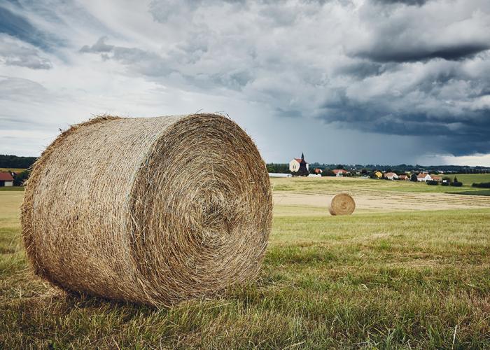 Mid-Term Elections Loom Large Over Next Farm Bill