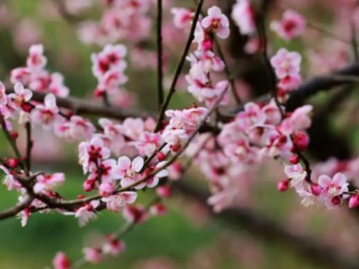 4月3日　日曜日