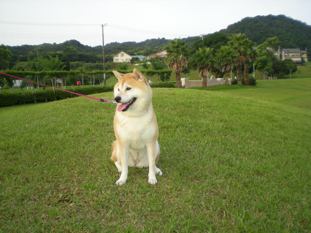 ２０１０年８月１６日（月）夏の終わり！_f0060461_9564510.jpg