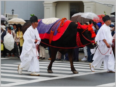 雨の葵祭_c0301808_015622.jpg