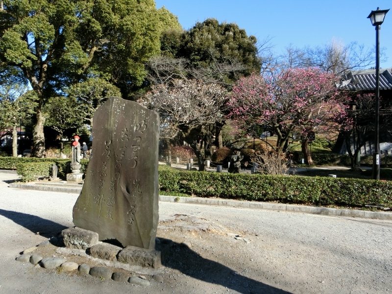 足利の旅　鑁阿寺２　＠栃木県_f0048546_00133741.jpg