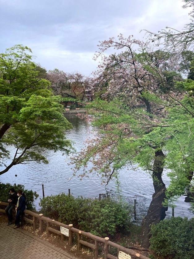 お花見飲み会：吉祥寺サブライムで_e0173855_20493491.jpg