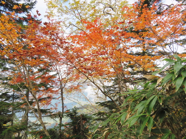 紅葉真っ盛り　西穂山荘 (２，３８５M)   PART 3_d0170615_07105486.jpg