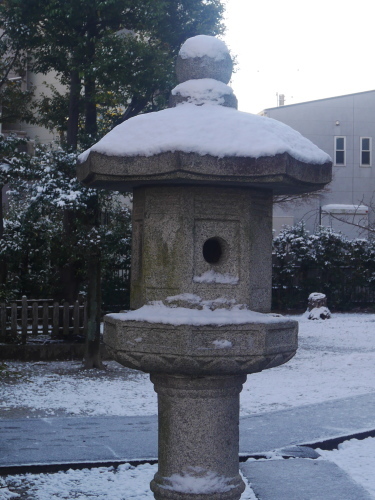 雪化粧_c0301808_18500485.jpg