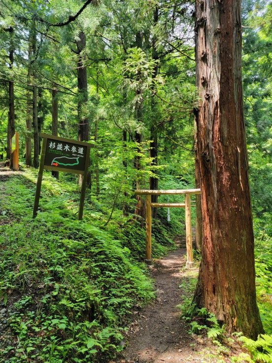 大山祇神社／参道　@福島県西会津町_f0048546_06421461.jpg