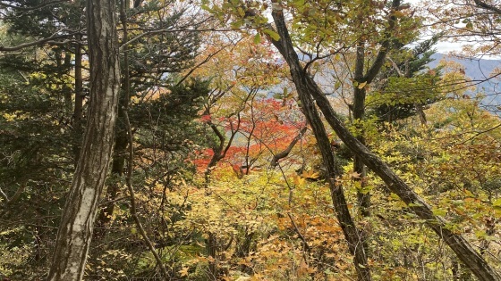 2022  そこにある山 新うつくしま百名山 塩手山へ チョイっと登ってきま～す！_c0261447_15235452.jpg