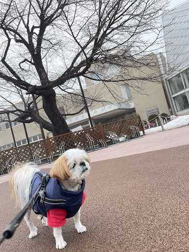 びっくりドンキーファーム野幌　～　江別市野幌_c0074563_13514004.jpg